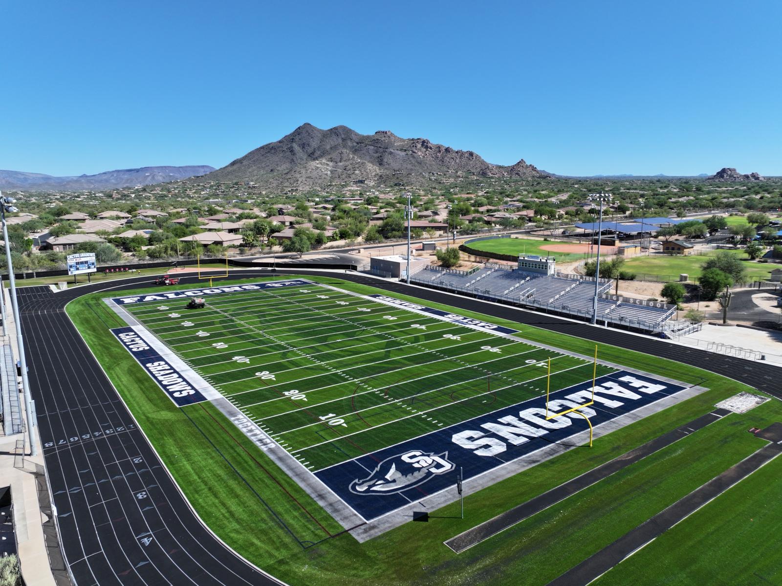 A young cricket player in protective gear prepares to hit a ball with a bat on sports turf. The ball is mid-air, and a set of stumps stands behind the player. Trees are blurred in the background.